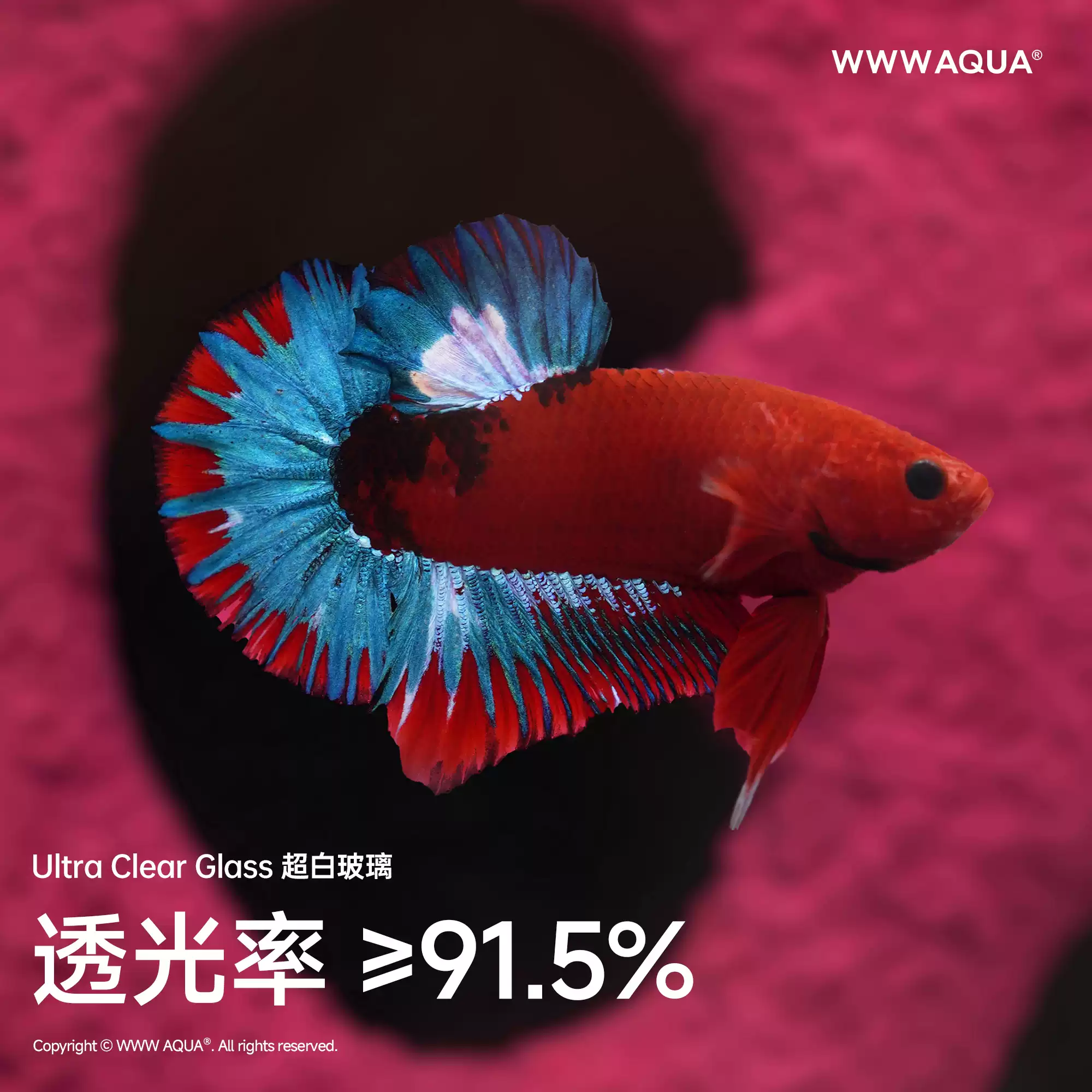 Toko Kelontong Universe Seri U - Home Improvement Stores ulasan dan harga