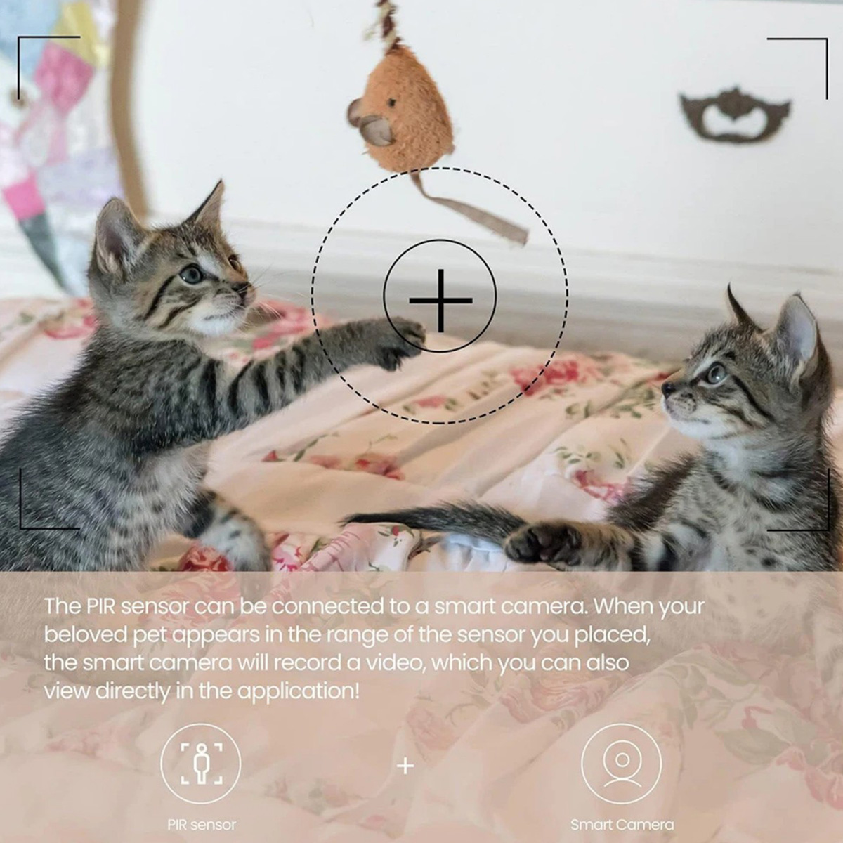ZigBee 3.0 PIR Sensor Gerak Ni - Home Improvement Hardware ulasan dan harga